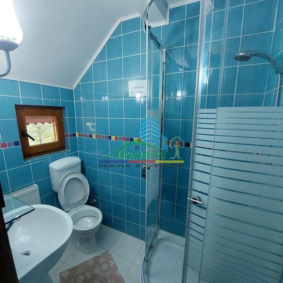 Spațiu comercial, de 450 mp, în Lepșa