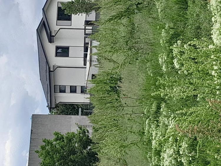 Teren de 5000 mp, în Giulești
