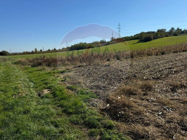 Teren Construcții intravilan de 2240 mp, în Lăpușel