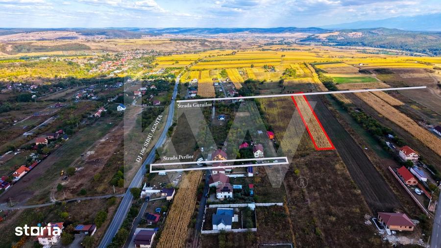 Teren de 5000 mp, în Câineni