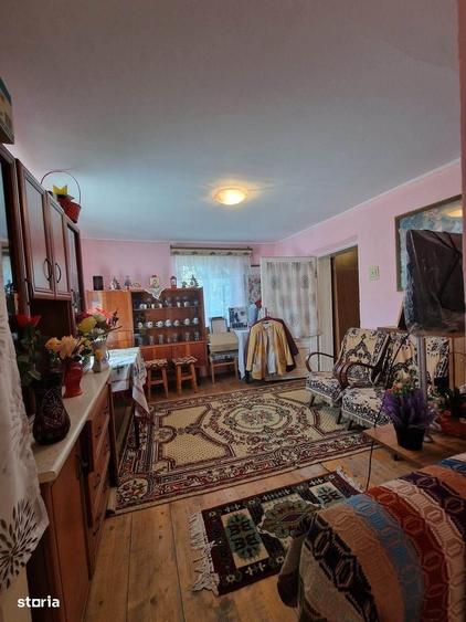 De vanzare casa batraneasca in Horia, teren de 700mp, 3 anexe, 55000e - 14
