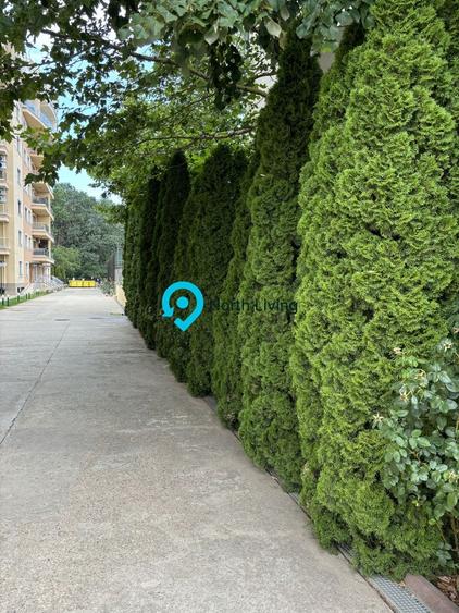 Apartament cu 3 camere decomandat, mobilat în Iancu Nicolae
