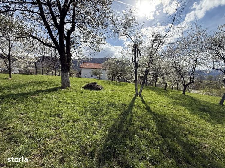 Teren intravilan 1355 mp in zona Bran, judetul Brasov - 3