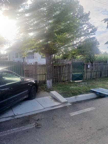 Casă cu 3 camere în Vedea