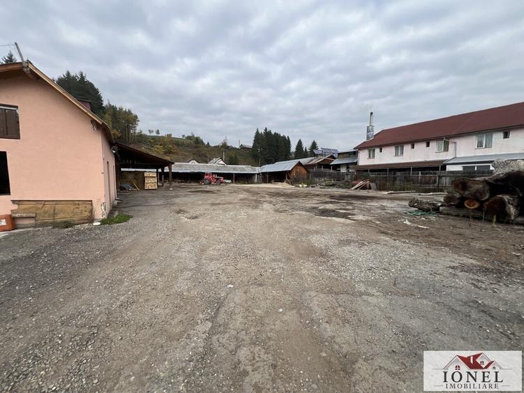 Teren Construcții intravilan de 4439 mp, în Bistra