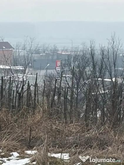 Teren în Central