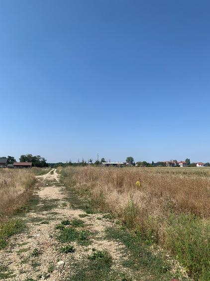 Teren Construcții intravilan de 4250 mp, în Snagov
