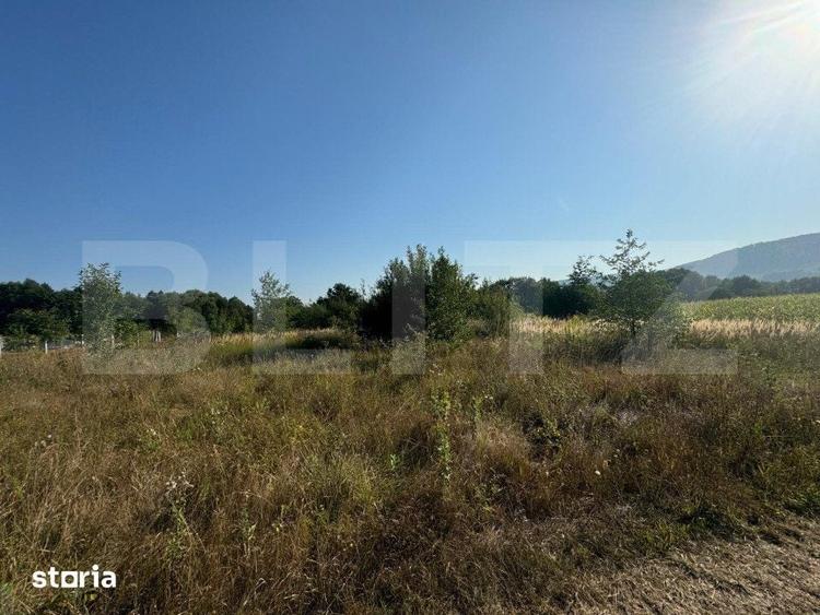 Teren de 4000 mp, în Dărmănești