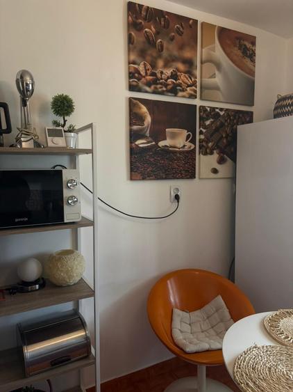 Apartament cu 2 camere decomandat în Rovine