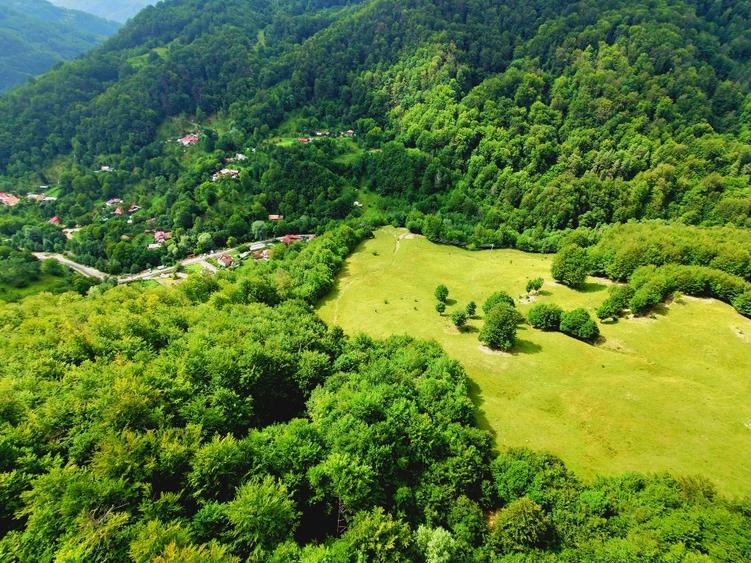 Teren Construcții intravilan de 7500 mp, în Cașoca