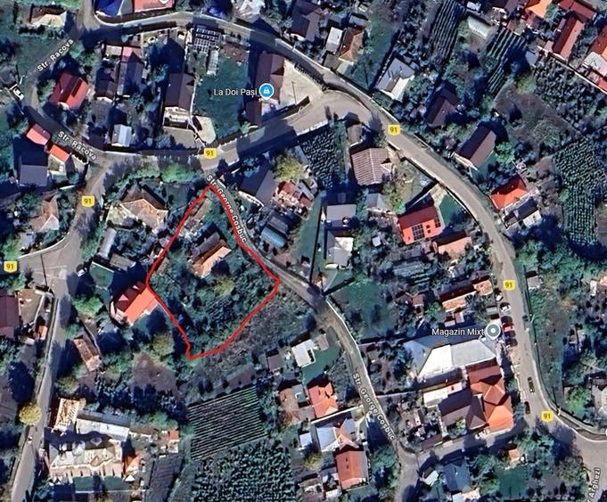Casă cu Teren 1490 Mp în Pușcași