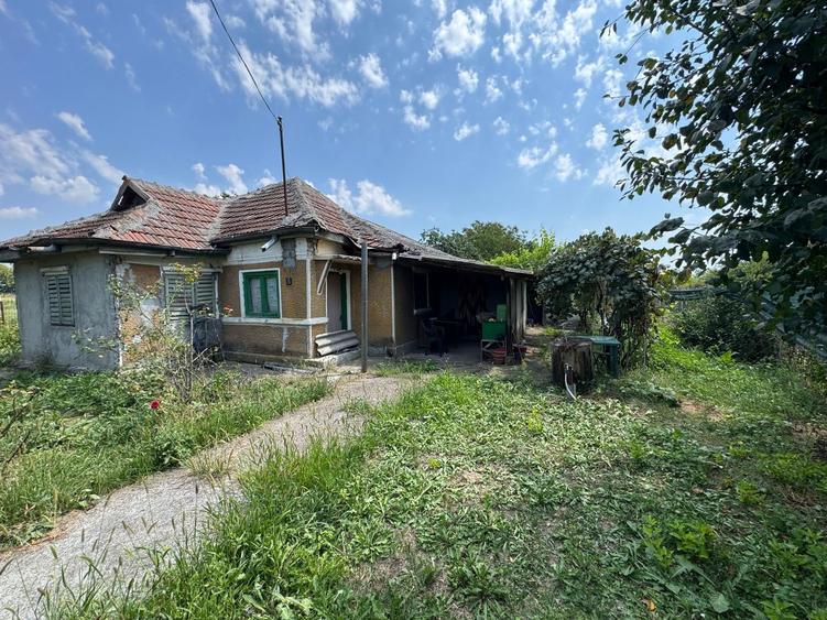 Teren Construcții intravilan de 11200 mp, în Gruiu