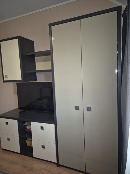 Apartament de inchiriat zona Nufarul - 4