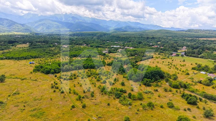 Teren agricol extravilan de 8606 mp, în Avrig