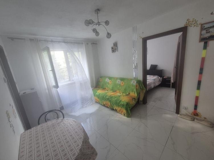 Apartament cu 2 camere în Lotrioara