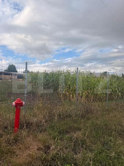 Teren intravilan, 1000 mp, front 50 ml, zona Bunesti - 2