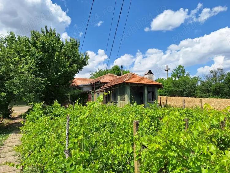 Teren cu casa de vanzare - 10