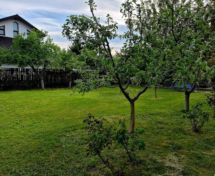 Casă cu Teren 885 Mp în Găgeni