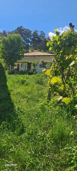 Casă cu Teren 1500 Mp în Central