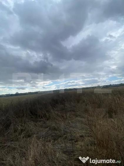 Teren de 2500 mp, în Central