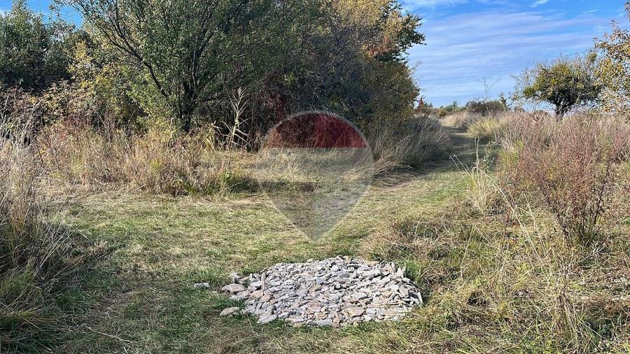 Teren agricol extravilan de 2900 mp, în Gheorghieni