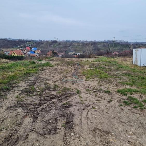 Teren Construcții intravilan de 3133 mp, în Cantemir