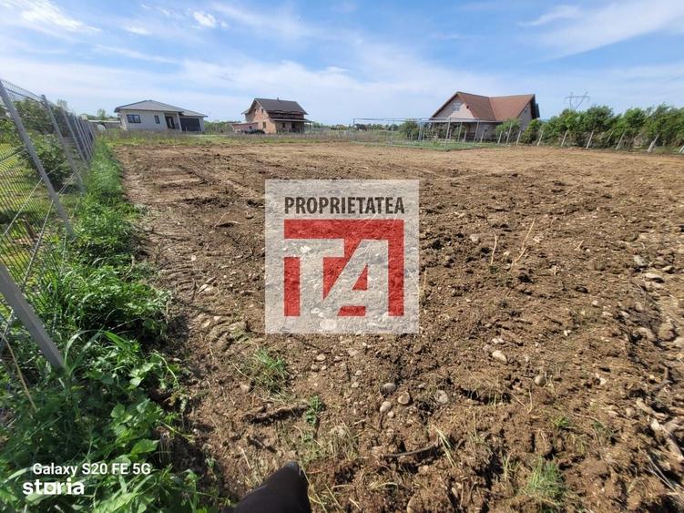 Spațiu comercial, în Cătălina