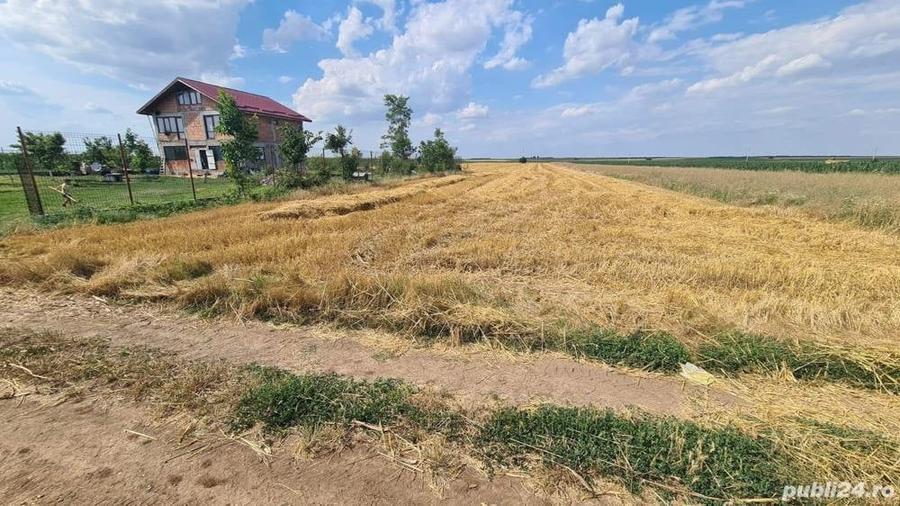 Teren de 5500 mp, în Brăniștari