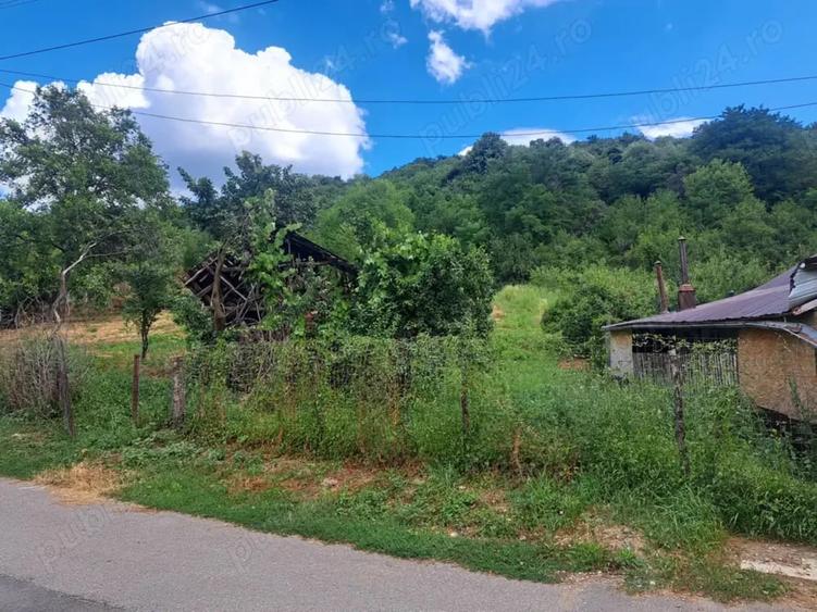 Teren de 3500 mp, în Viforâta