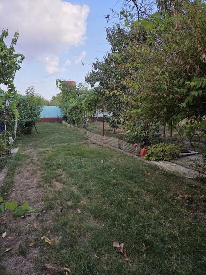 Casă individuală cu 3 camere cu Canalizare în Orțișoara