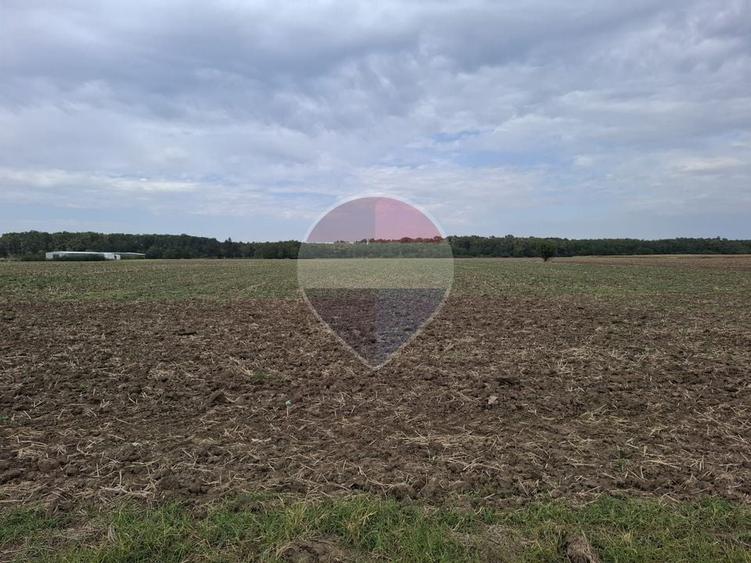 Investitie vanzare teren intravilan 26.666mp la DN3| Vizavi de Makita| - 6