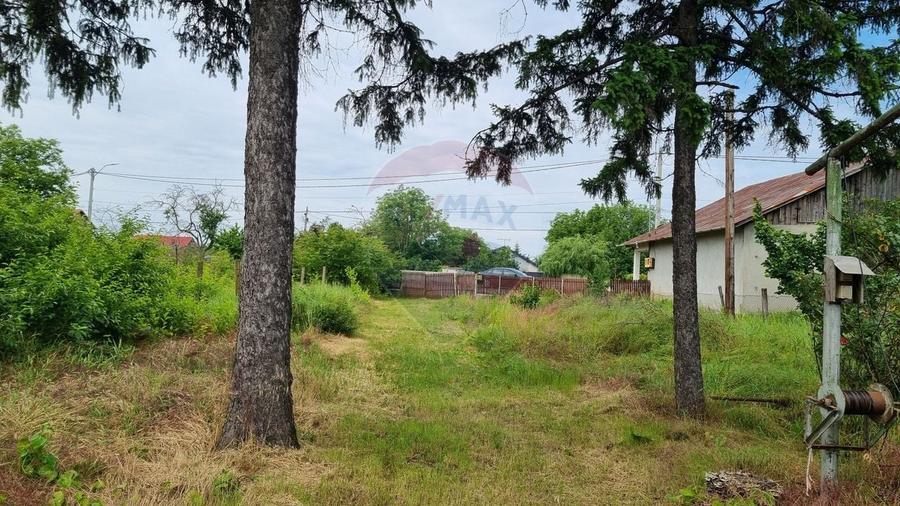 Teren Construcții intravilan de 2038 mp, în Tâncăbești