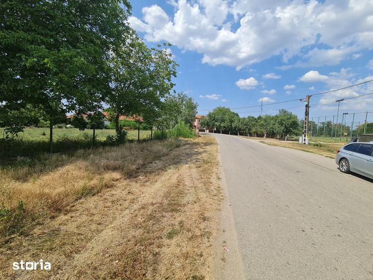 Teren de 1300 mp, în Bocsig