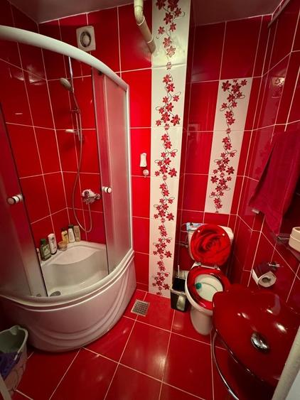 Apartament cu 2 camere semidecomandat în Valea Rosie