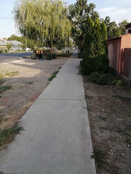 Casă cu 3 camere în Barcea