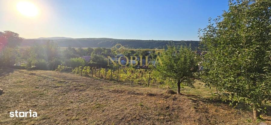 Teren de 10537 mp, în Bogdănești
