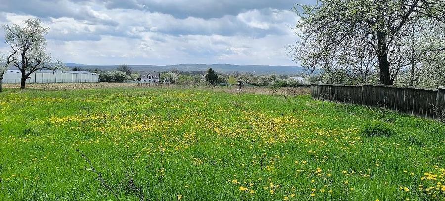 Teren de 2950 mp, în Vârfu Câmpului