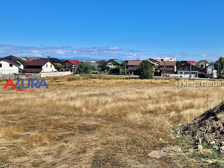 Teren Construcții intravilan de 2000 mp, în Bradu