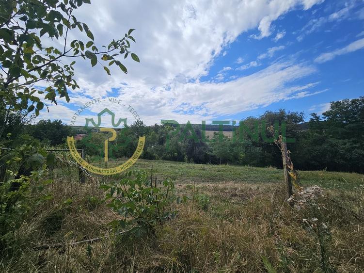 Teren agricol intravilan de 2617 mp, în Loamneș