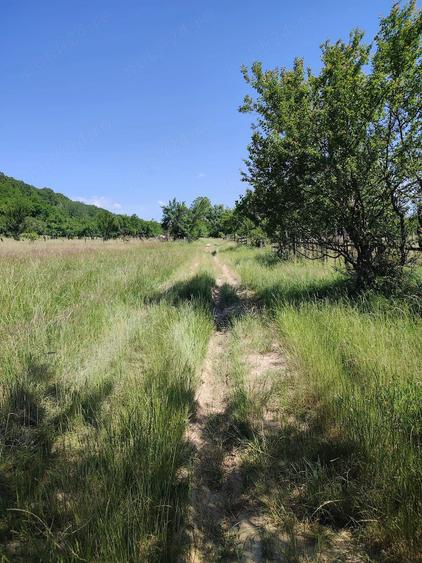 Teren extravilan Pietrosani, Arges - 2