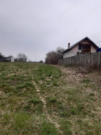 Teren în Dărmănești