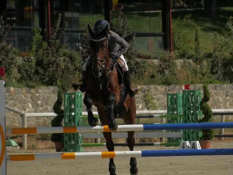 Domeniul Herneacova - 19