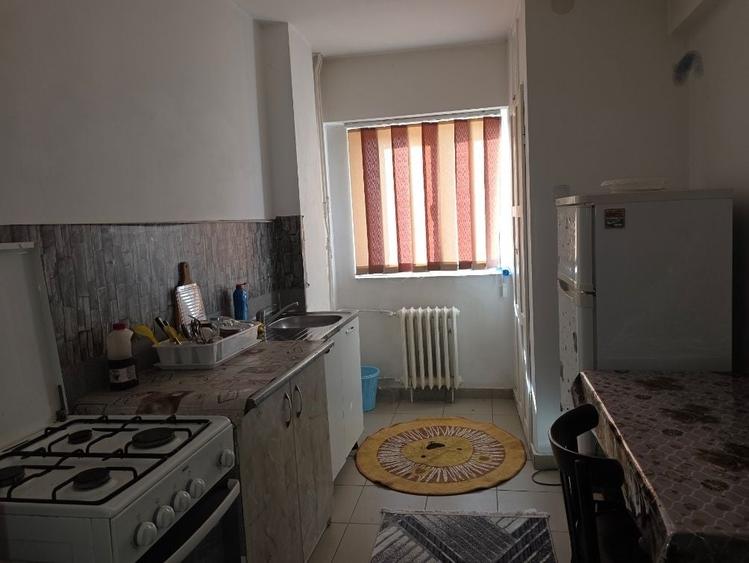 IERTIN - Aparrament cu doua camere in Prundu - 8