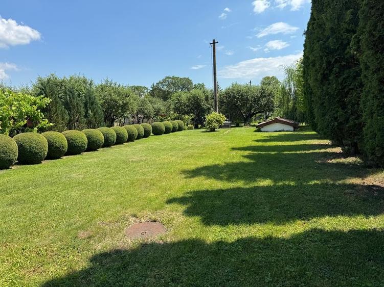 Casa de vanzare Rupea - 8