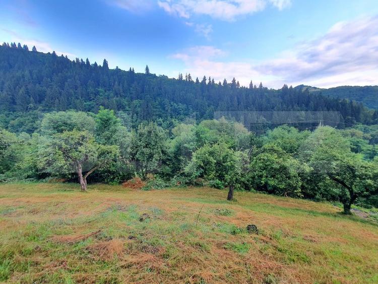 Teren Construcții intravilan de 3100 mp, în Sud
