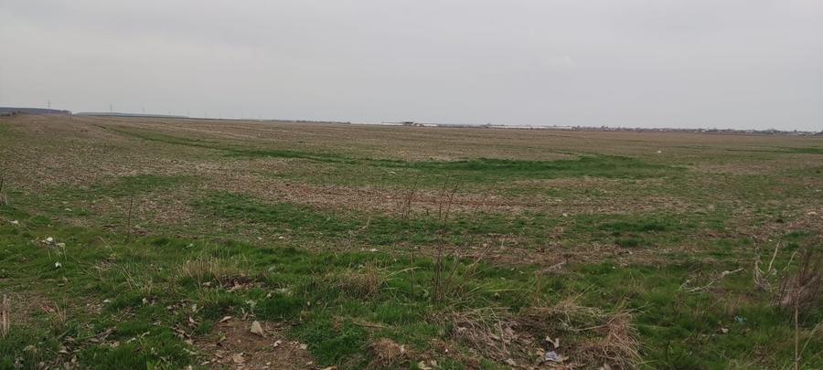 Teren Construcții intravilan de 5000 mp, în Tânganu