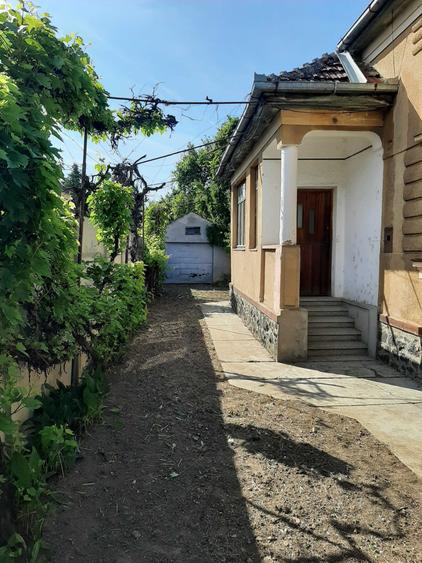 Casă cu 3 camere în Central