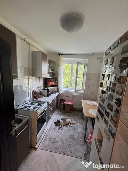 Apartament cu 2 camere semidecomandat în Brotăcei