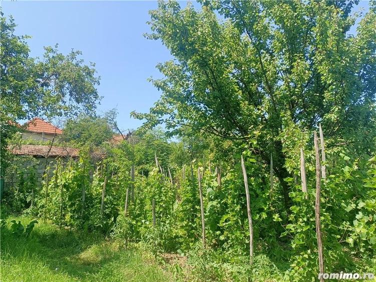 Casă cu 4 camere cu Teren 2200 Mp în Pianu