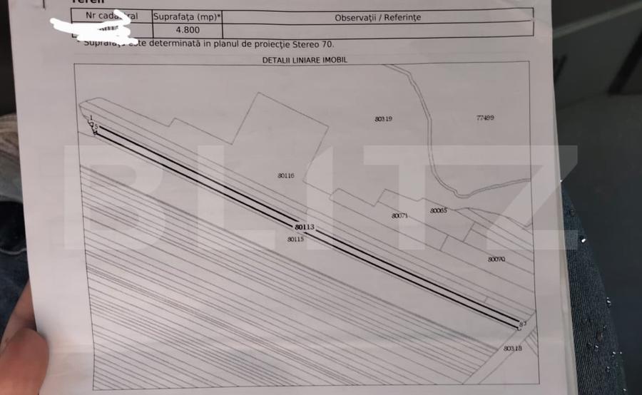 Teren agricol extravilan de 4800 mp, în Teiș